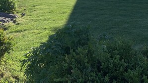 Una casa con un ampio cortile recintato, un'antenna parabolica e una montagna sullo sfondo.