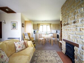 Smart TV, fireplace, DVD player, books
