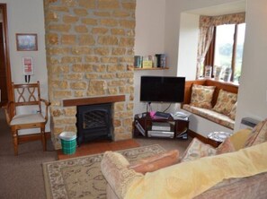 Smart TV, fireplace, DVD player, books