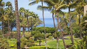 A lush garden with palm trees and a pathway leading to a building.