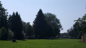 Une cour arrière verdoyante avec une tondeuse à gazon, de grands arbres et une maison en arrière-plan.