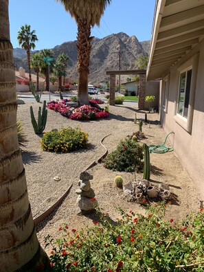 Un jardín con cactus, flores y una palmera.