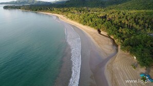 Un paysage côtier caractérisé par une plage de sable, une végétation luxuriante et une mer calme.