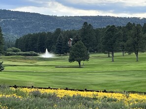 Golf - Mountain Retreat: 5 min walk to lake & hiking and 4 min drive to golf & slopes. (Angel Fire)