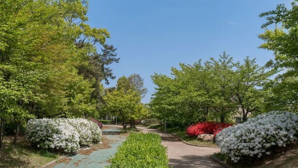 A pathway flanked by lush greenery and flowering bushes. - Hub Guest House (Incheon)