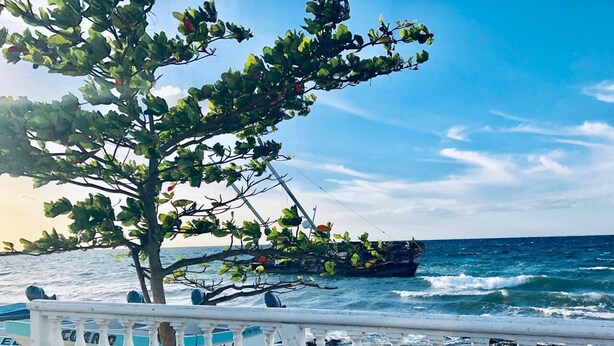 Eine Küstenansicht mit einer weißen Brüstung, einem Baum und einem Boot im Hintergrund.