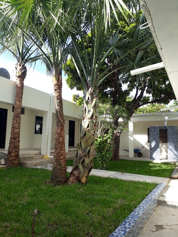 A courtyard with palm trees, a white building, and a blue-tiled wall.