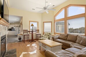 TV, fireplace, DVD player