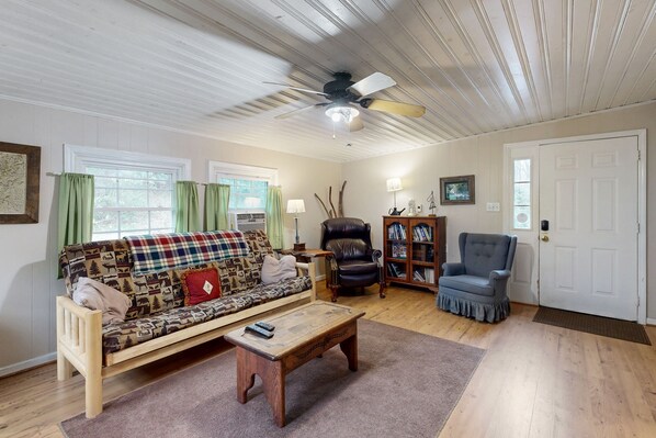 TV, DVD player, video library, stereo