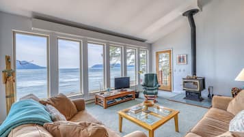 Televisión, chimenea y reproductor de DVD