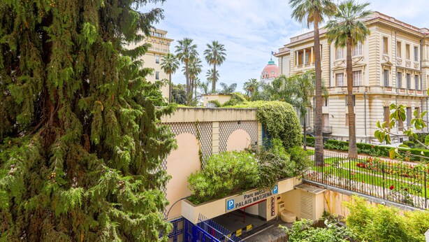 Un bâtiment avec un grand arbre devant, un espace de stationnement et un jardin agrémenté de palmiers.