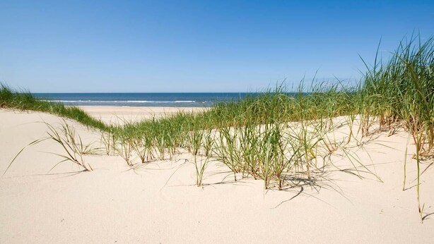 A beach with sand dunes and grass in the foreground, leading to the ocean.