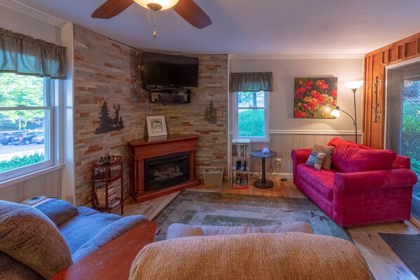 TV, fireplace, DVD player, video library