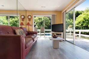 TV, DVD player