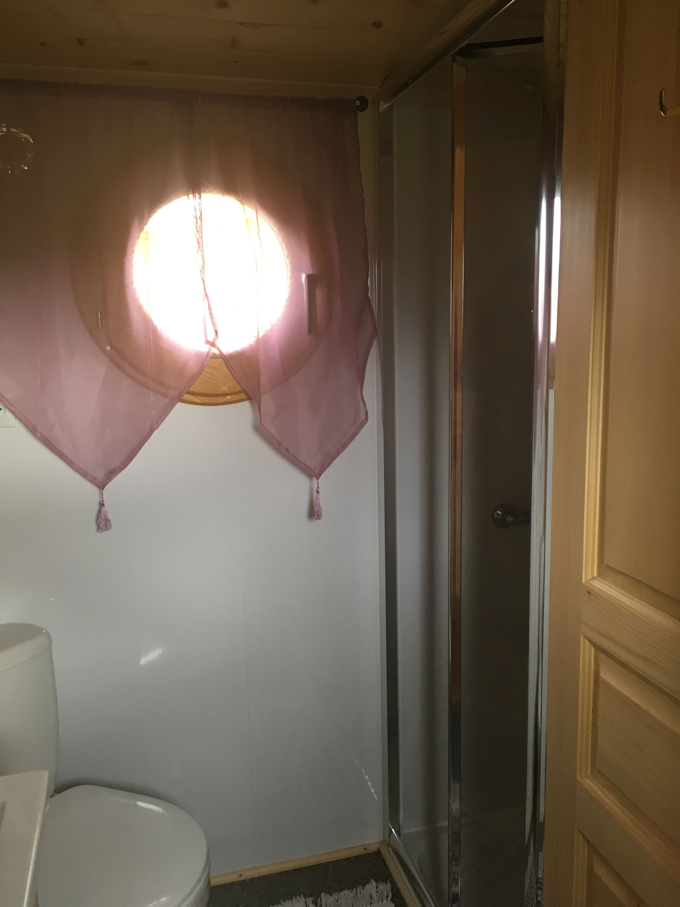 A bathroom with a toilet, a shower, and a window with a curtain.
