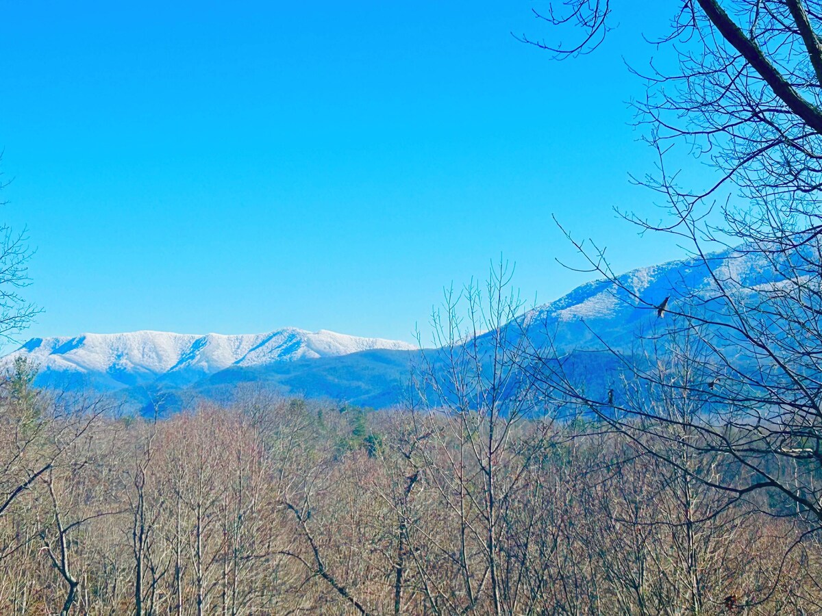 Photo 28 of Amazing view! Pickleball, golf course, 3 pools, tennis. Minutes to town.