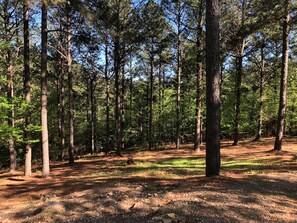 Plenty of acreage to set up camp or park your boat/RV