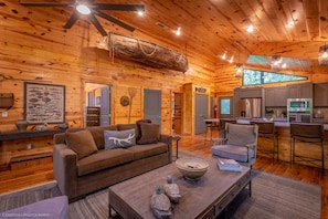 Smart TV, fireplace, books, stereo