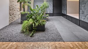 A modern interior with a central plant arrangement, stone wall, and a recessed seating area. - Château Saint-Jean (Montlucon)