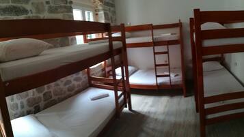 Classic Shared Dormitory, Mixed Dorm | In-room safe, soundproofing, iron/ironing board, rollaway beds