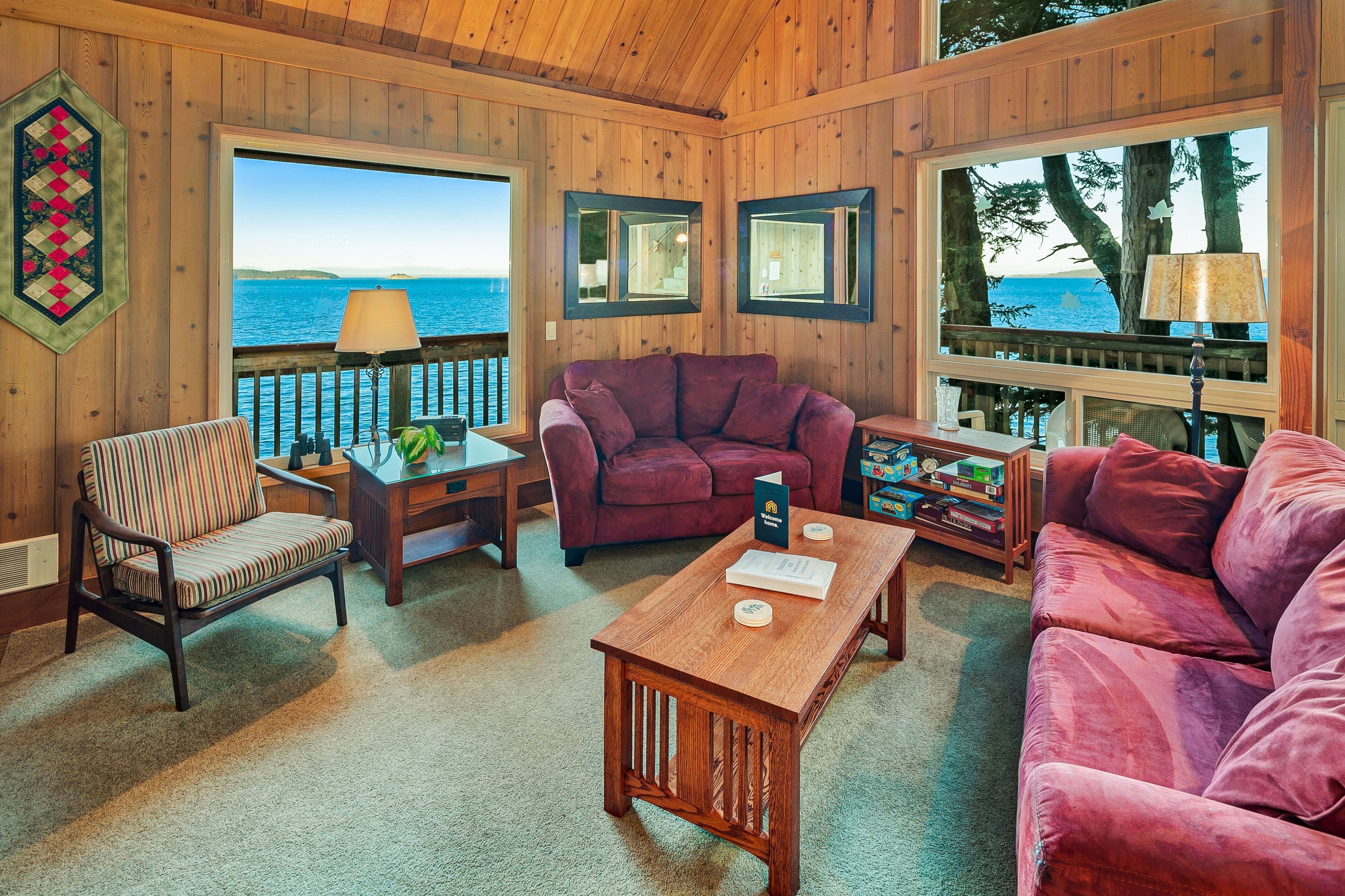 TV, DVD player, books, video library