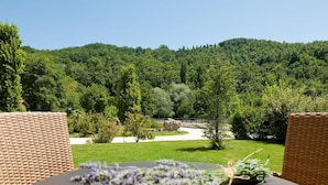 A view from a wicker chair overlooking a lush green landscape with a path and trees. - Le Case Residenza di Campagna (Assisi)