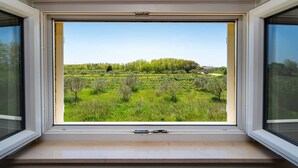 Une fenêtre donnant sur un paysage verdoyant, avec des arbres et des arbustes.