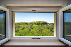 Interior - Apartment house Simoni with pool (Privlaka)