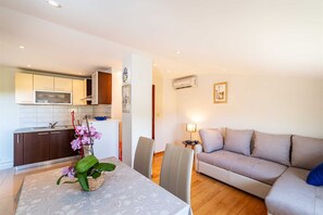 TV - Apartment house Simoni with pool (Privlaka)