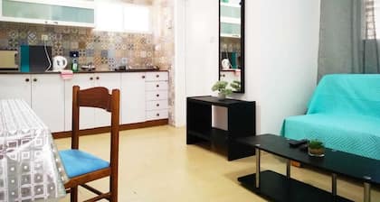 Luxury Apartment near the Rambam