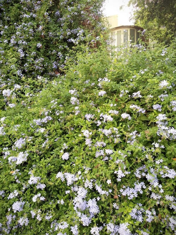 Comfort Apartment, 1 Bedroom | Soundproofing, iron/ironing board, free cribs/infant beds - S&L Near The Beach And The Rambam (Haifa)