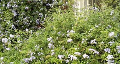 S&L Near The Beach And The Rambam