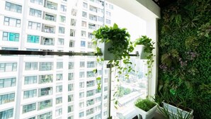Un balcone con vista su un grattacielo, un muro verde con piante e una ringhiera bianca.