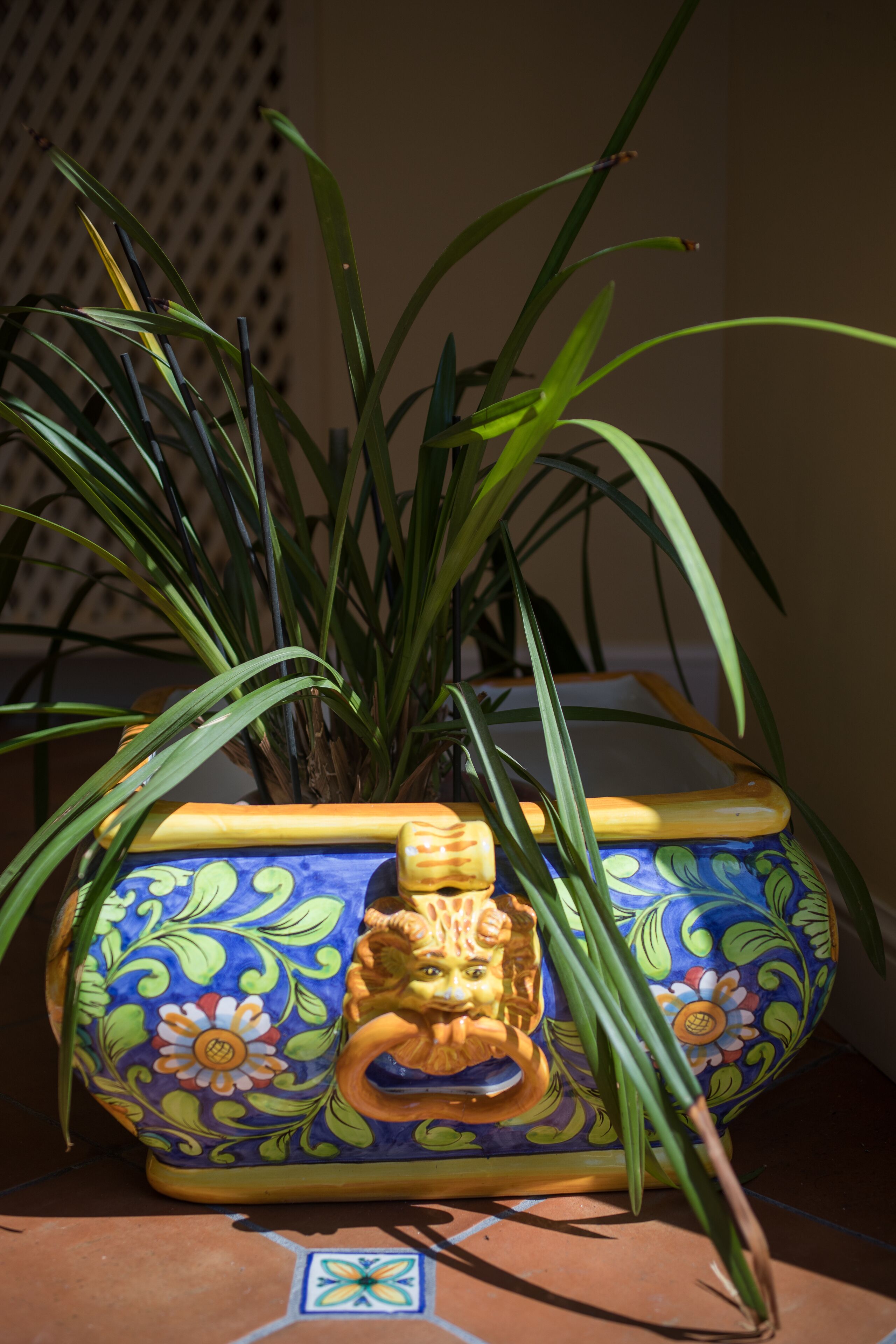 Una maceta de cerámica con una figura decorativa de león y una planta de hojas verdes largas.