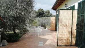 Teras/patio