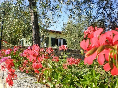 Agriturismo il Grande Ulivo