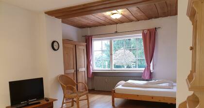 Nice apartment in historic villa with sun terrace