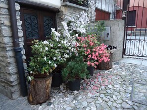 Detalle exterior