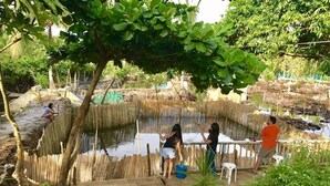A rustic outdoor setting with a wooden deck, a small pond, and a bamboo fence. - Villa Catalina Bora Resort (Nabas)