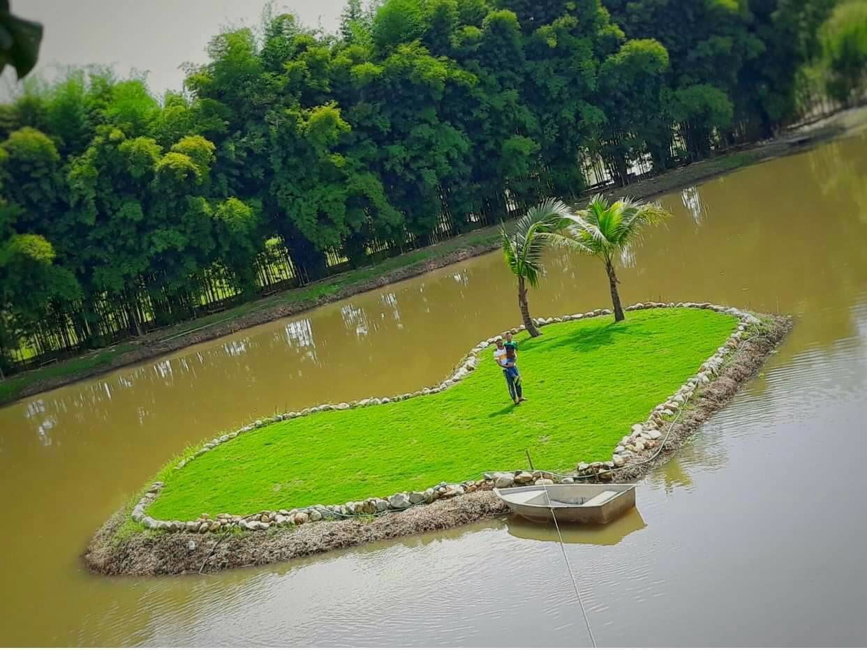 Una pequeña isla con un bote en el agua, rodeada de abundante vegetación.