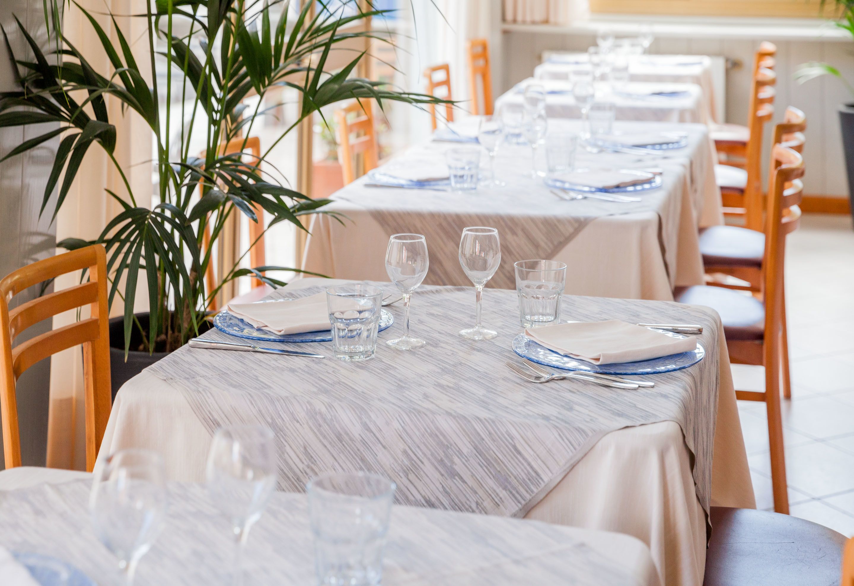 lunch and dinner served, international cuisine