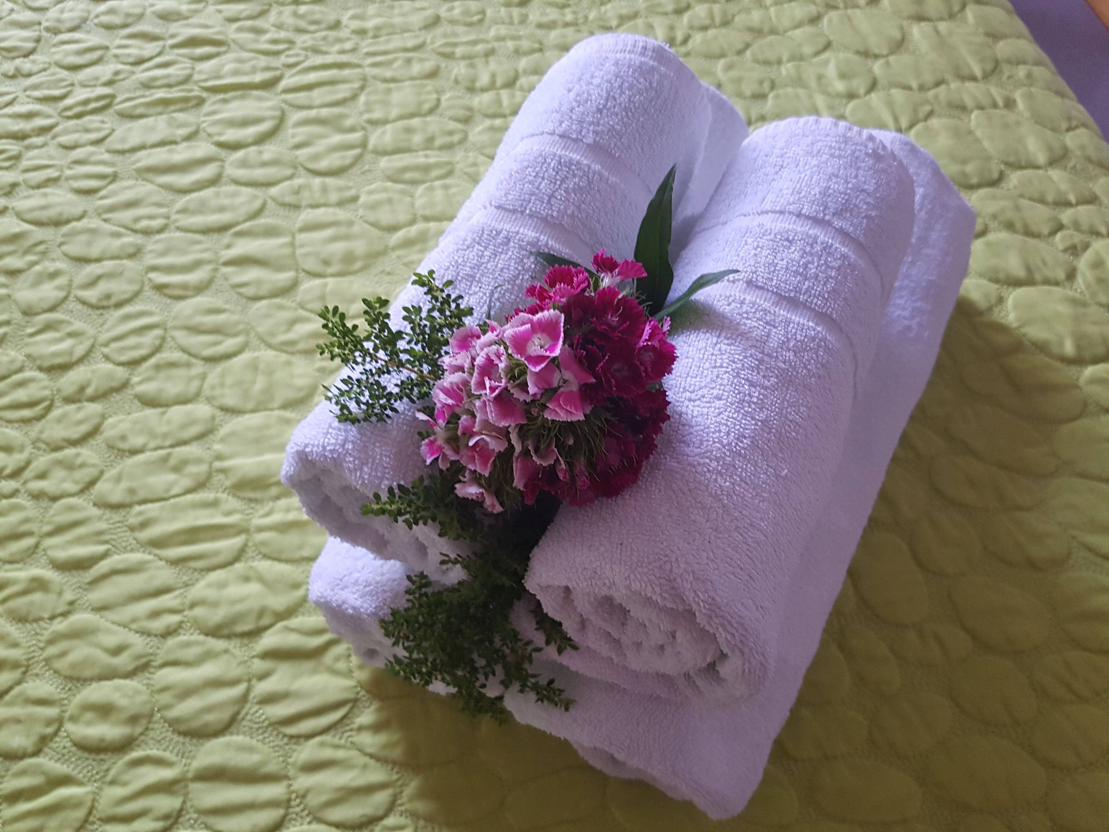 Foto - Georgia Old Town Apartments