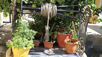 Jardin