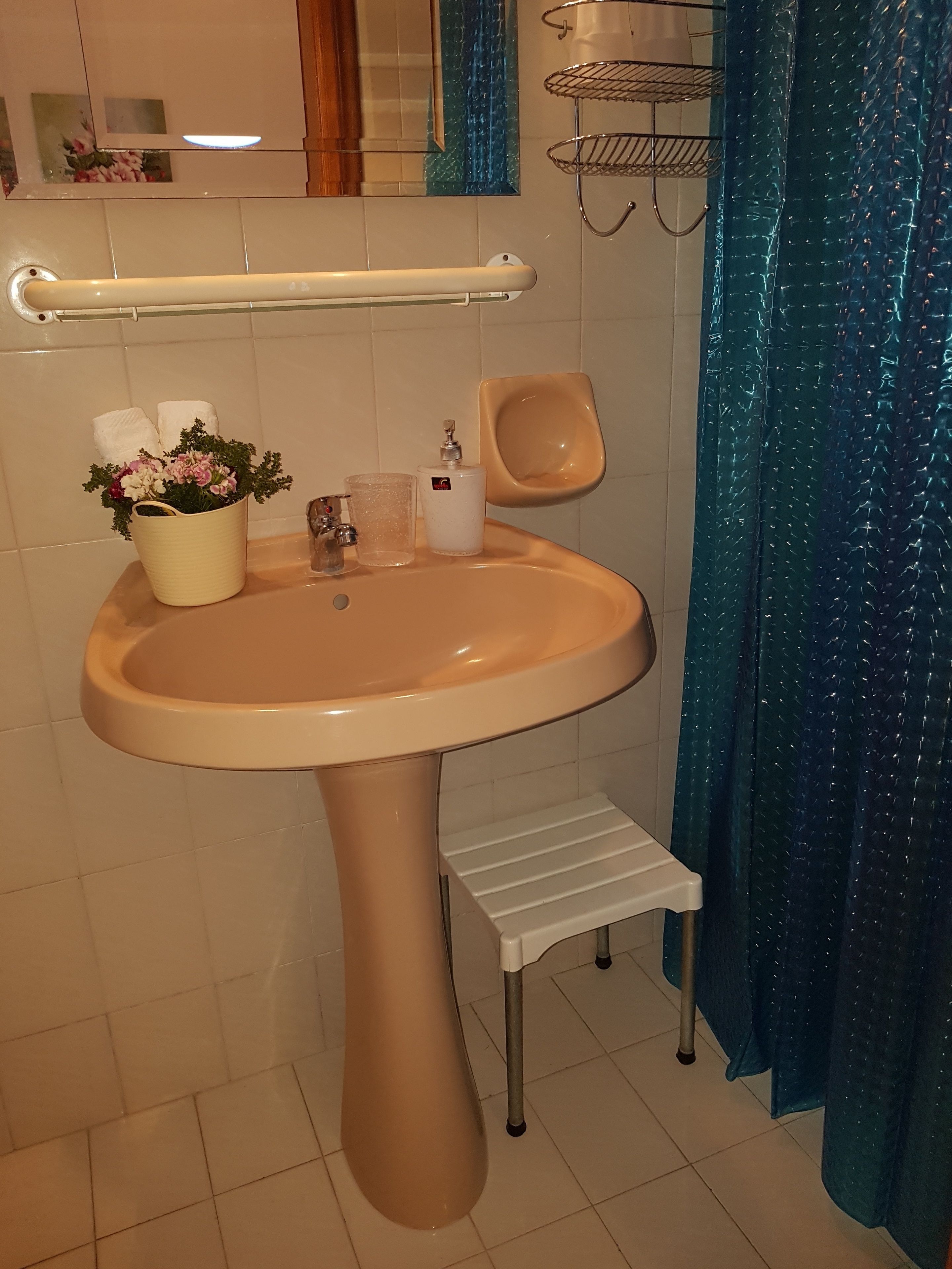 Een badkamer met een wastafel op een voetstuk, een klein opstapkrukje, een handdoekdispenser en een decoratieve plant.