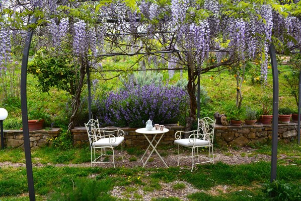 A garden with a table and chairs, surrounded by purple flowers and greenery.