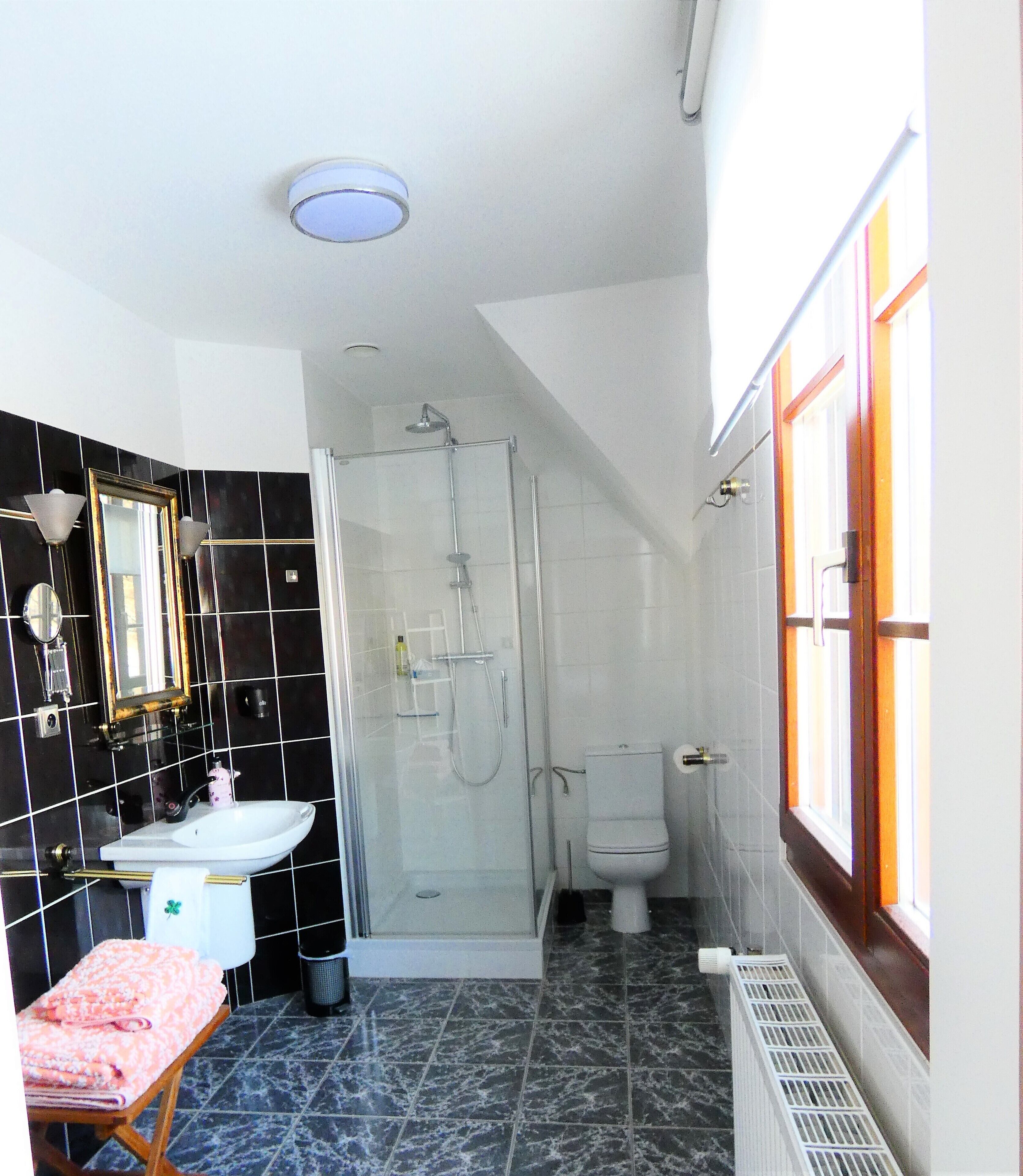 A bathroom with a glass-enclosed shower, a white sink, and a toilet.