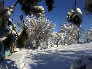 A snow-covered landscape with trees and a building.