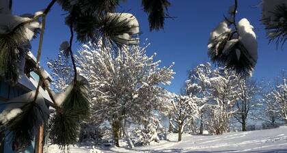 Le GĂźte bleu Willgottheim