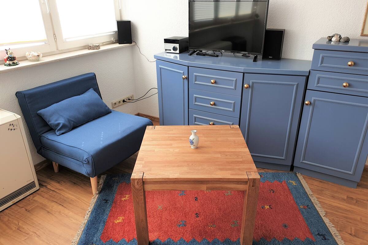 Un espacio habitable pequeño con un sofá azul, una mesa de madera, un televisor sobre un mueble y una alfombra estampada.