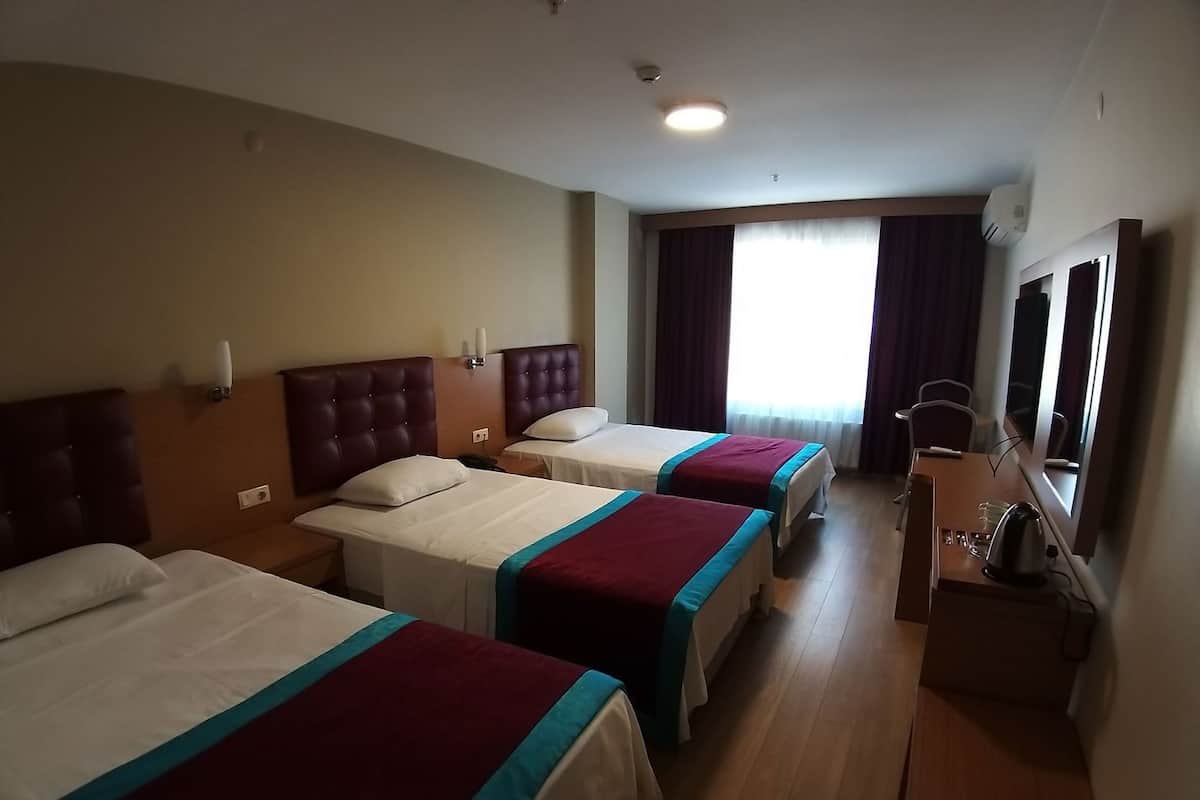 A hotel room with three beds, a desk, a chair, and a television.